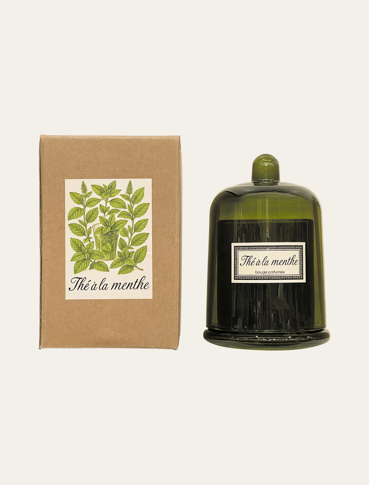Cloche Botanic Thé à la Menthe