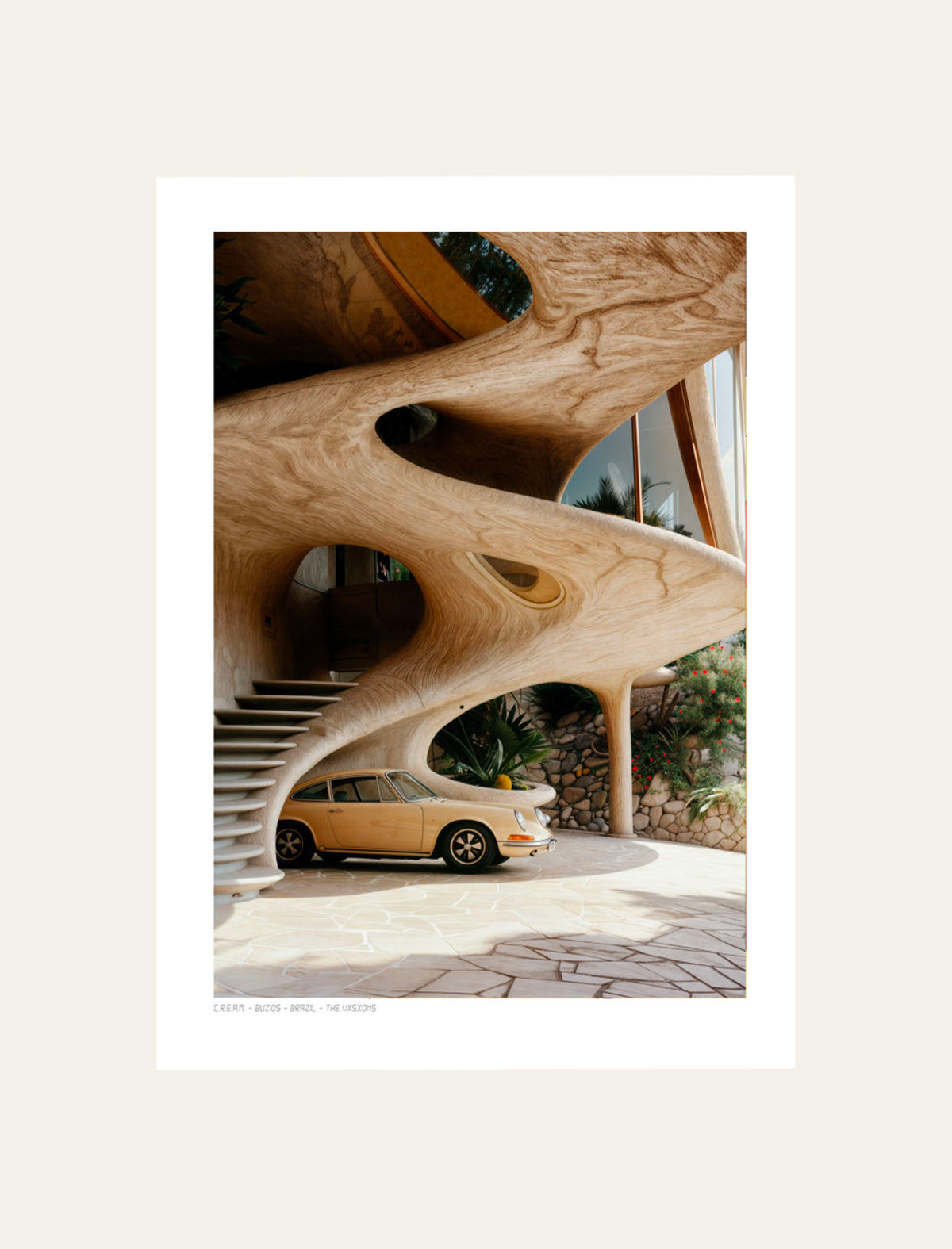 The Vision 047