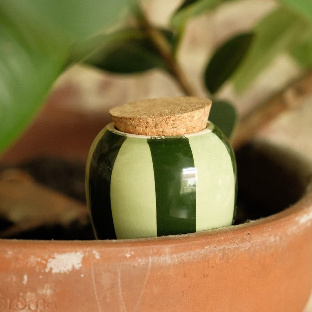 Olla