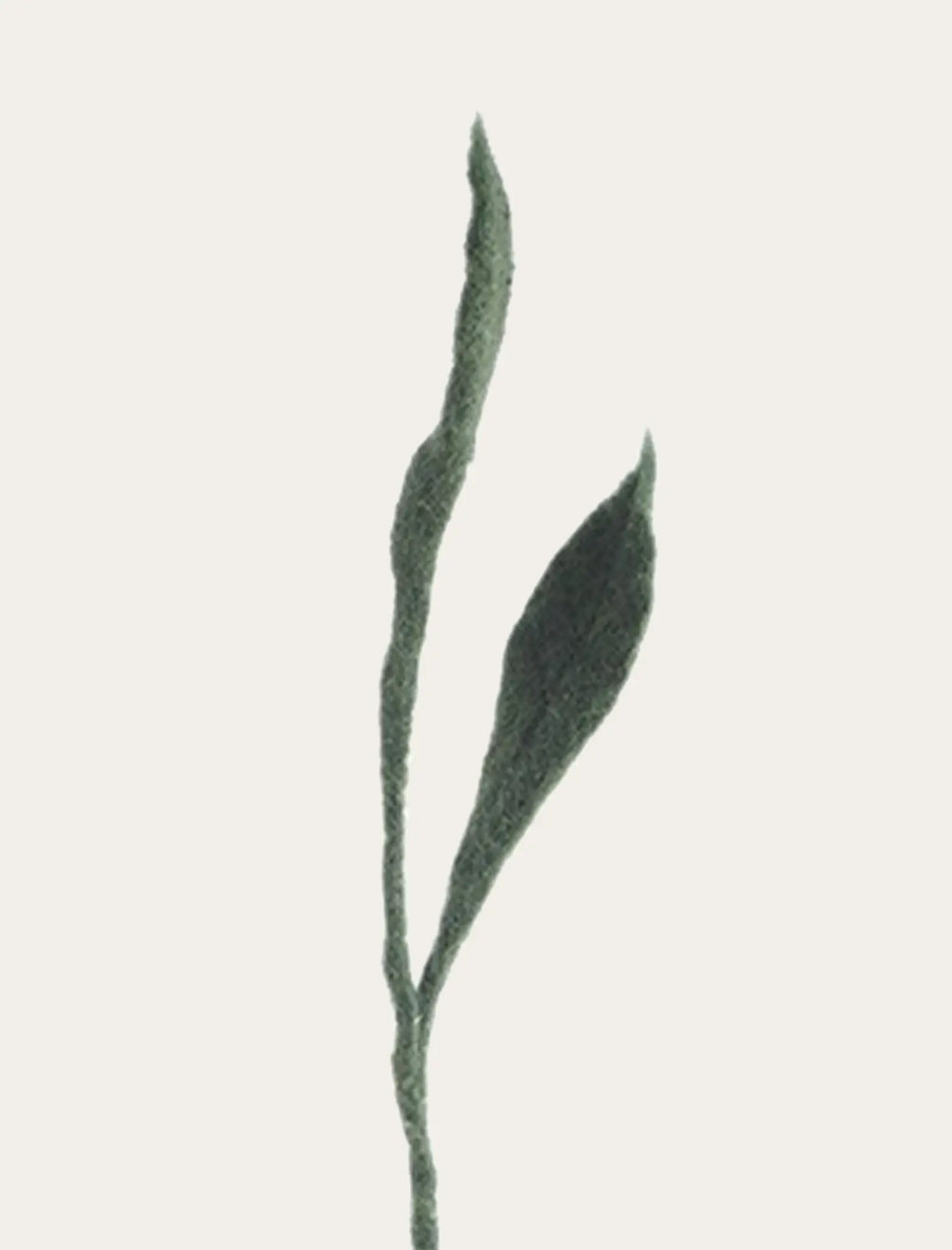 Duo de feuilles