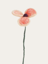 Coquelicot pêche