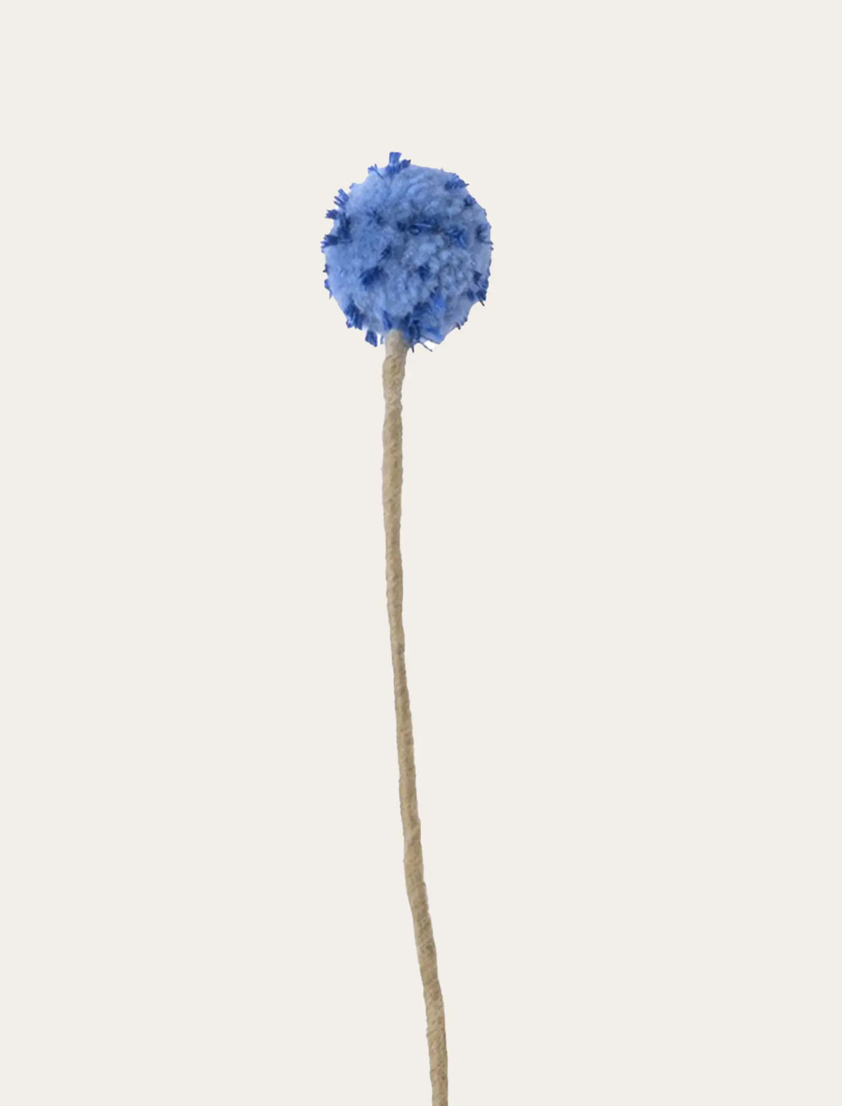 Chardon bleu poudré