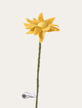 Mini-tournesol