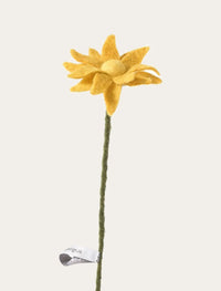 Mini-tournesol