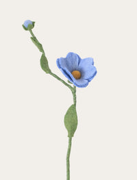 Églantine bleue