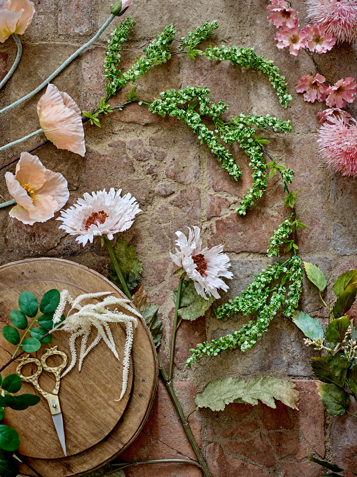 Chrysanthème
