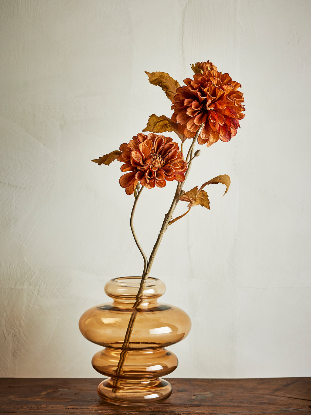 Chrysanthème