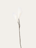 Linaigrette