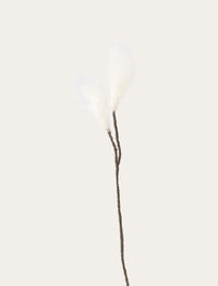 Linaigrette