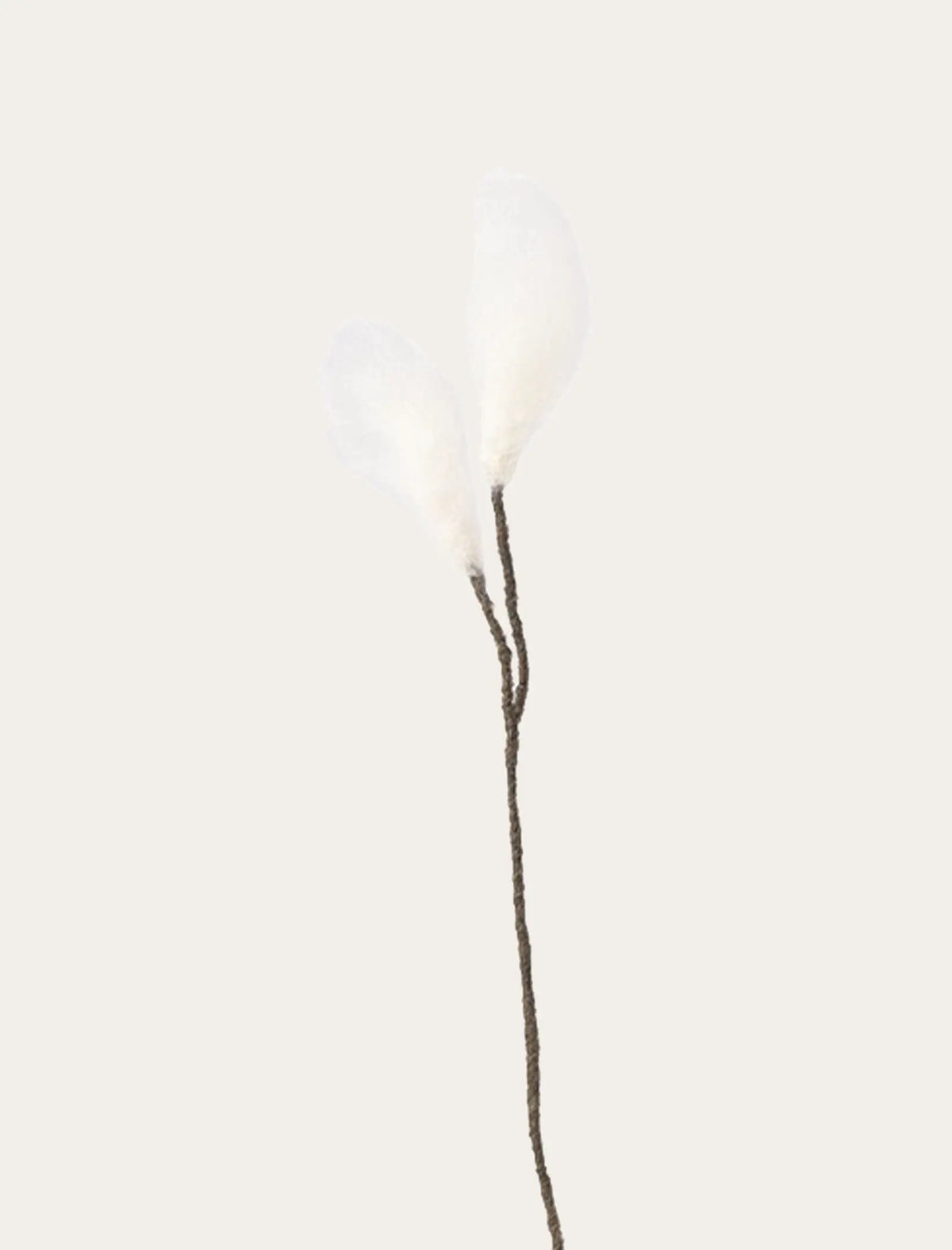 Linaigrette