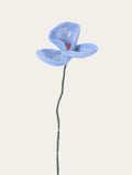 Coquelicot bleu