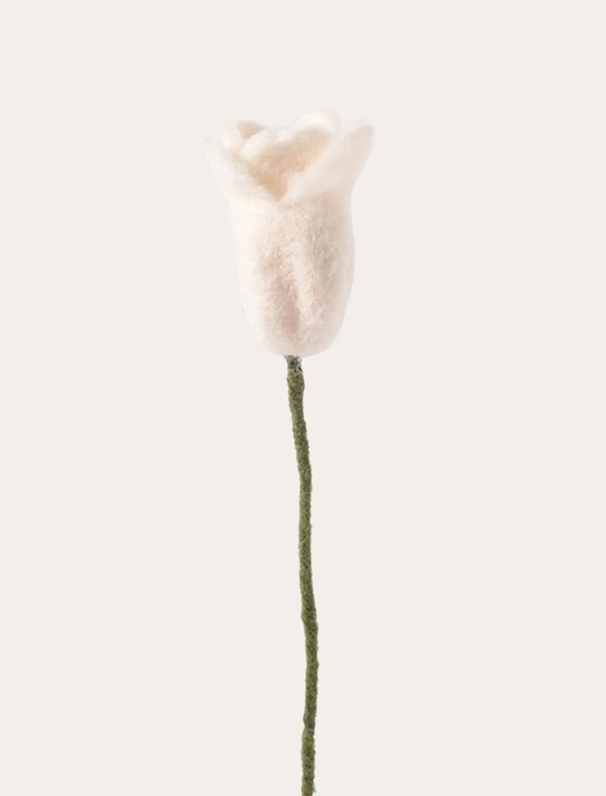 Tulipe blanche