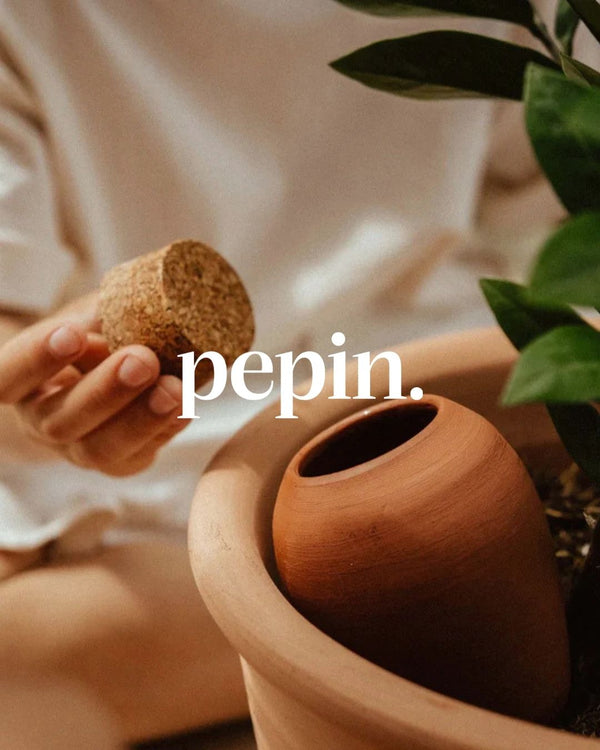Pépin